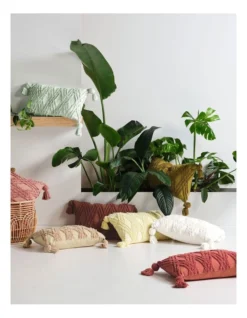 Linen House Solange Cushion In Ash Rose 5 Linen House Solange Cushion In Ash Rose -Linen House Dreamscape Sales Store 935601220 3 720x928