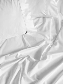 Linen House Augusta 500TC White Cotton Sateen Sheet Set -Linen House Dreamscape Sales Store lh augusta white ss d1