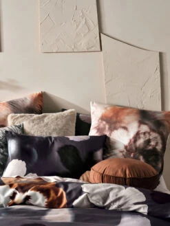 Linen House Silvia European Pillowcase -Linen House Dreamscape Sales Store lh silvia black qcs d3 1